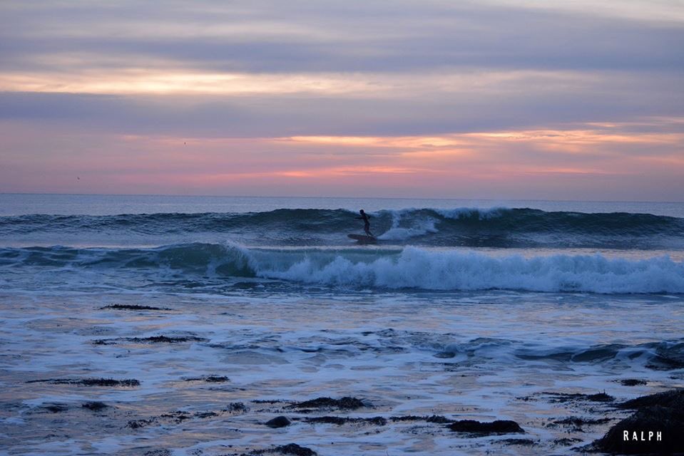 Just posted the new Blog. New stories. New pics. ralphspic.com #surffreeordie #ralphspic #surfinghealsallwounds #newbloggyblog