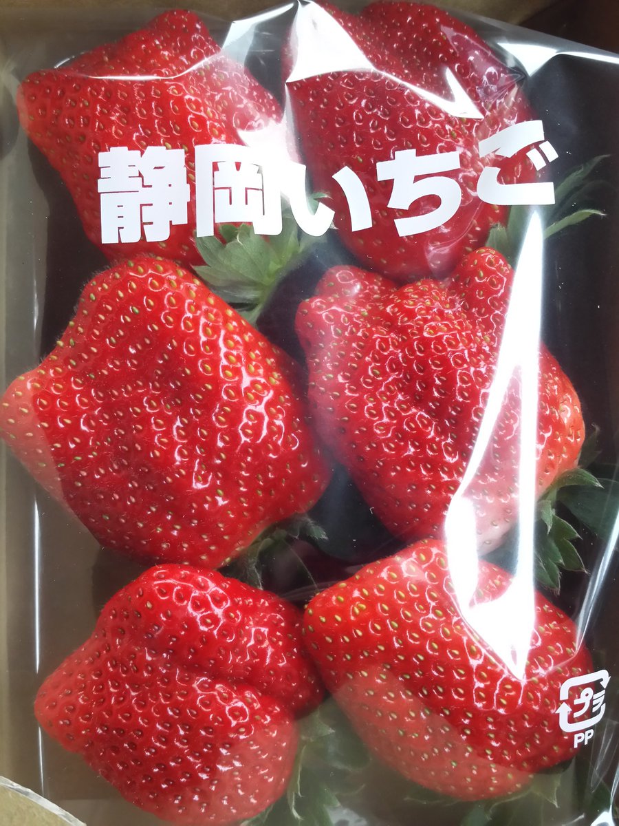 Twitter पर 茶畑のワンツリー たかちゃん 静岡県牧之原市 森木農園 さんで おいcベリー げっと 丸々太ったぽっちゃりいちごさんです 農園のご主人と話したら 今月からスタート予定だった いちごのクリームサンド は免許の関係でダメになったらしく 来月 Twitter पर 茶畑のワンツリー たかちゃん 静岡県牧之原市 森木農園 さんで おいcベリー げっと 丸々太ったぽっちゃりいちごさんです 農園のご主人と話したら 今月からスタート予定だった いちごのクリームサンド は免許の関係でダメになったらしく 来月