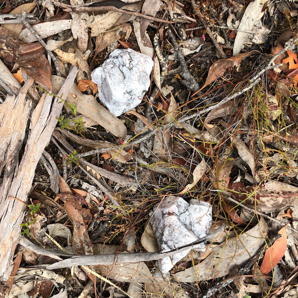 BloodyK8's tweet photo. Leaving them where they are as habitat #rockstacking #rockstack #rockstacks #rockstackingart #undisturbed #NotARockstack #notorockstacking https://t.co/5lwXuqNv4z