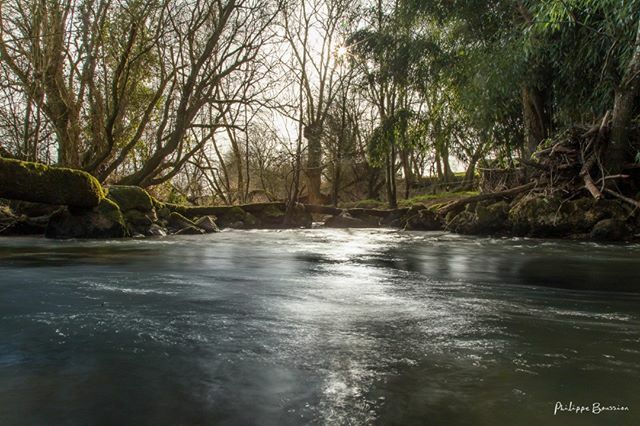 Jett1oeil's tweet photo. Faire le Gué...
•
#guedurezard #laviette #parthenay #letallud #deuxsevres #nature 5960
•
#igersdeuxsevres #igersfrance #kodakmoments #canonstories #france4dreams #so_photo #ig_france #theopenhub #still_life_nature #natureonly #bpa_nature #transfer_vi… https://t.co/EWUwj6ikHj https://t.co/qgwko0JM0R