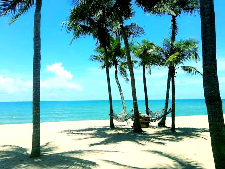 Picamera2's tweet photo. S.E.A. I.N. T.H.A.I.L.A.N.D🏝🌏🌊
.
follow me pleaseeeeee😶
#sea #noon #beachlife #photographer #PhotoOfTheDay #photo #photography https://t.co/GaV8YzGF13