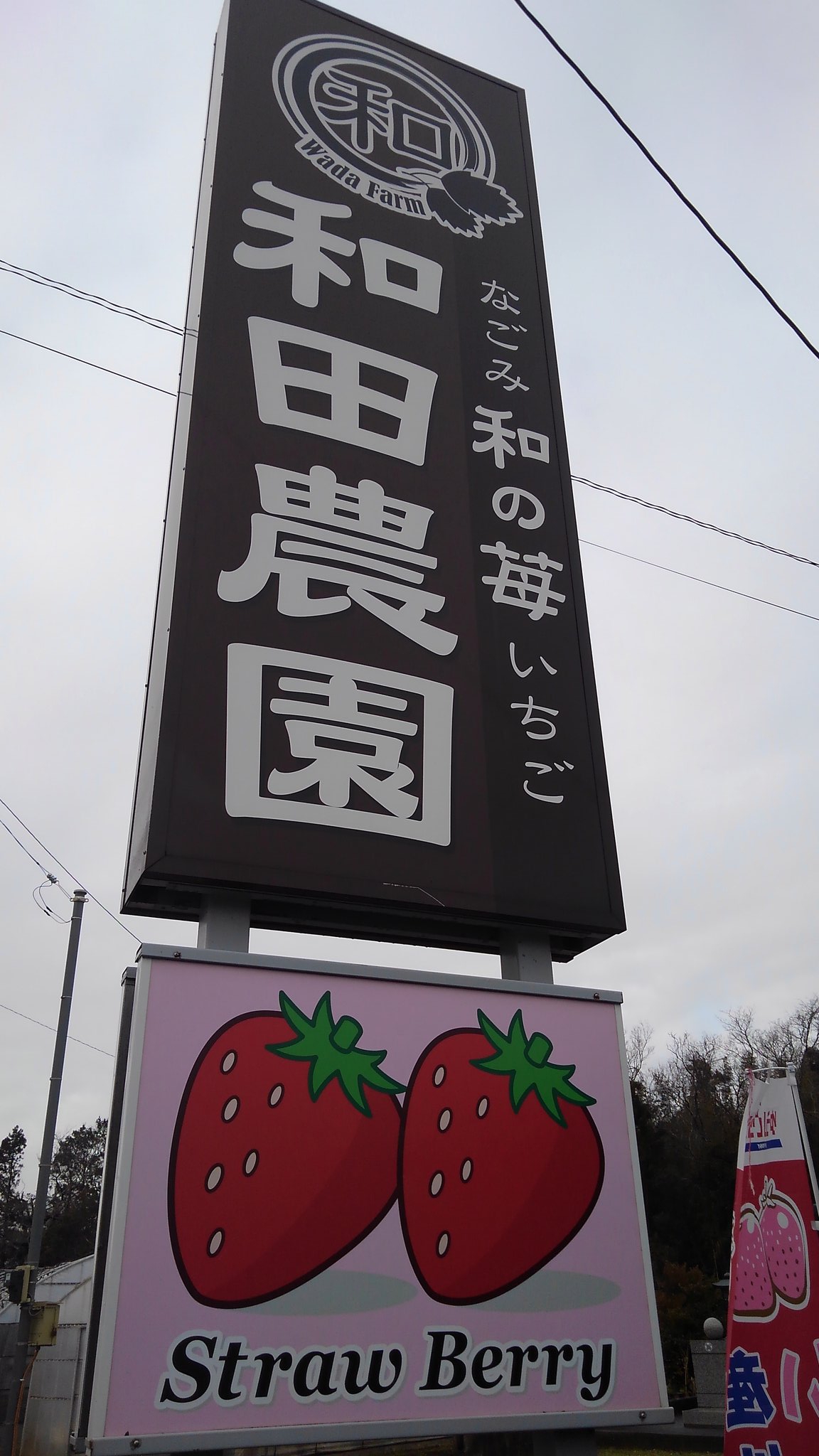 和田農園 Twitter Search Twitter
