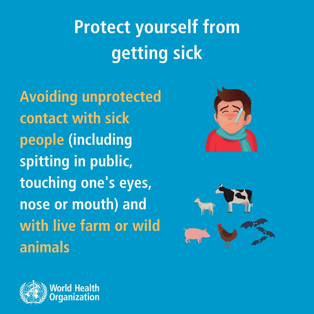 PBMCI's tweet photo. #CoronaVirus WHO recommendations on preventive measures
Sign our petition for IMMEDIATE IMPLEMENTATION of #NEXTfor Better Medi Care in India
https://t.co/RmrPpxlchG https://t.co/1nZQ7UUSMB