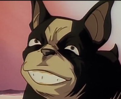 Iggy (JoJo's Bizarre Adventure: Stardust Crusaders) Sofvimates Dog