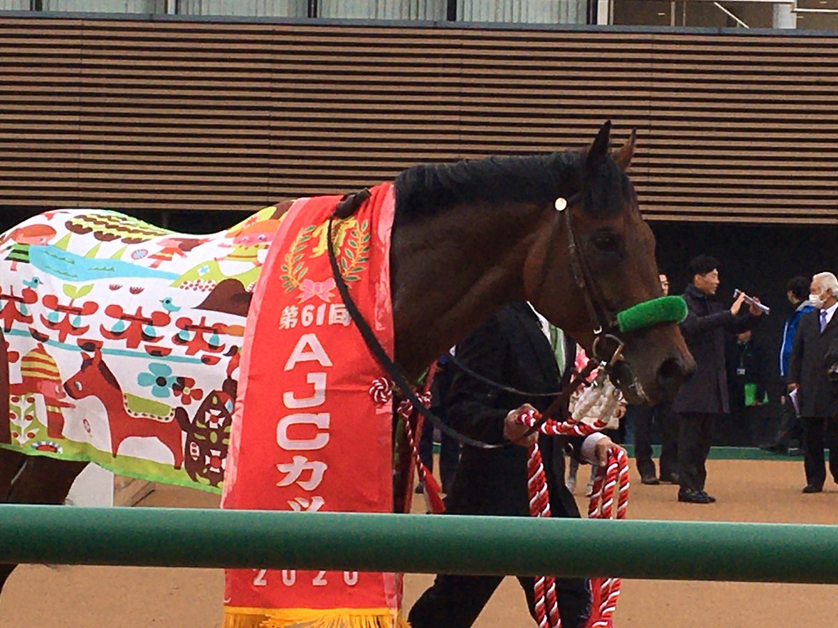 kkotatsu's tweet image. ブラストワンピース おめでとう㊗️
#大竹厩舎