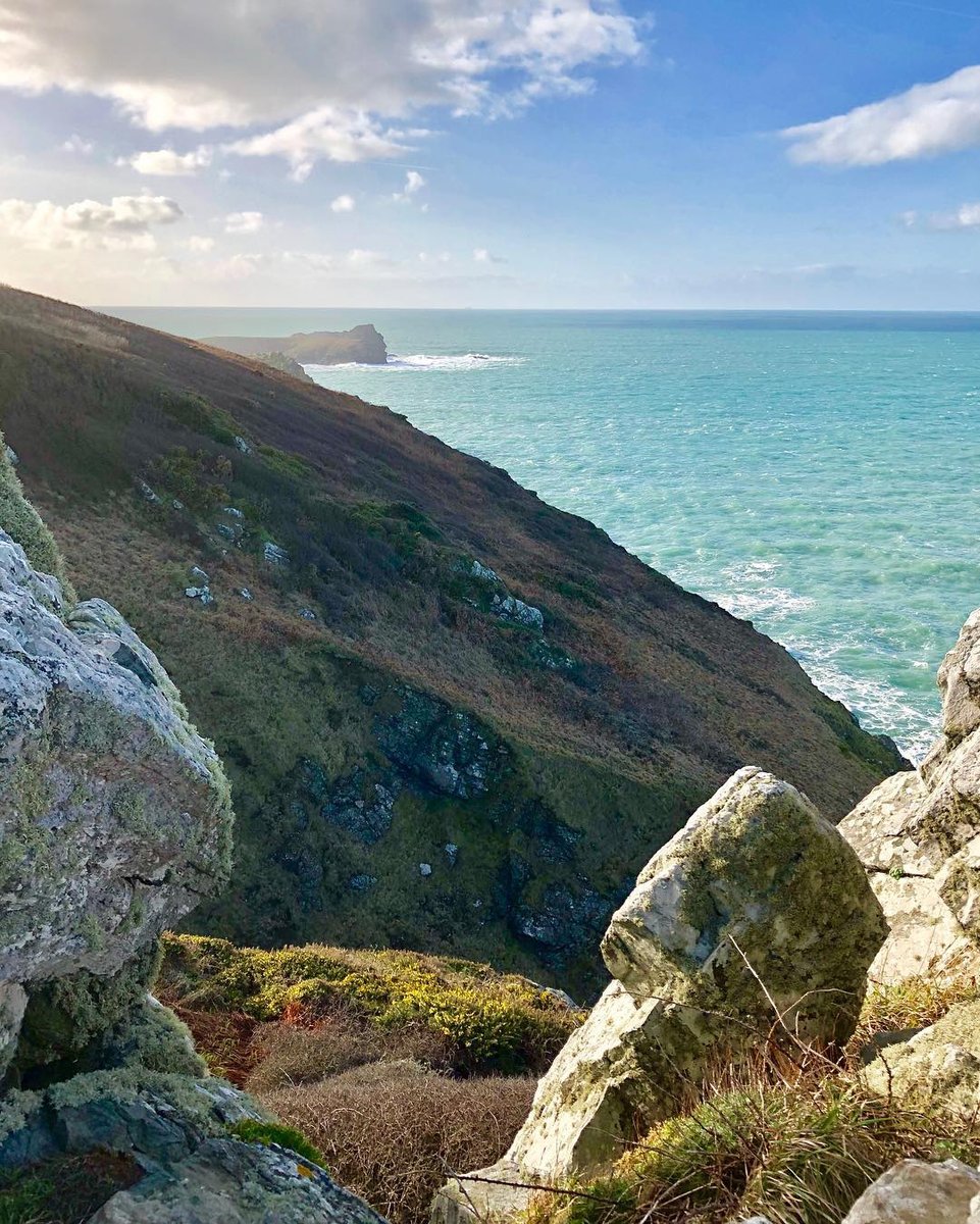 Colroger Holidays tweet media