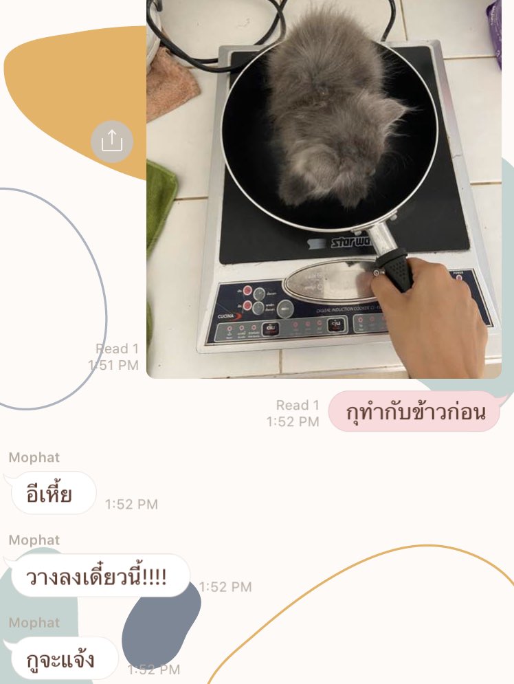 เมล่อน tweet media