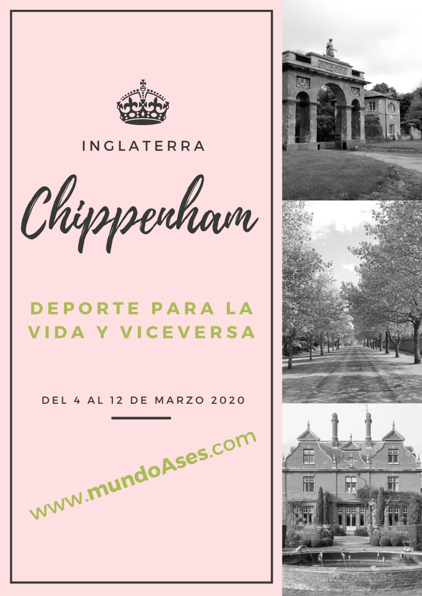 asociacionASES's tweet photo. Deporte para la vida y viceversa https://t.co/jJiKajZiJN https://t.co/qsviYMm63Y