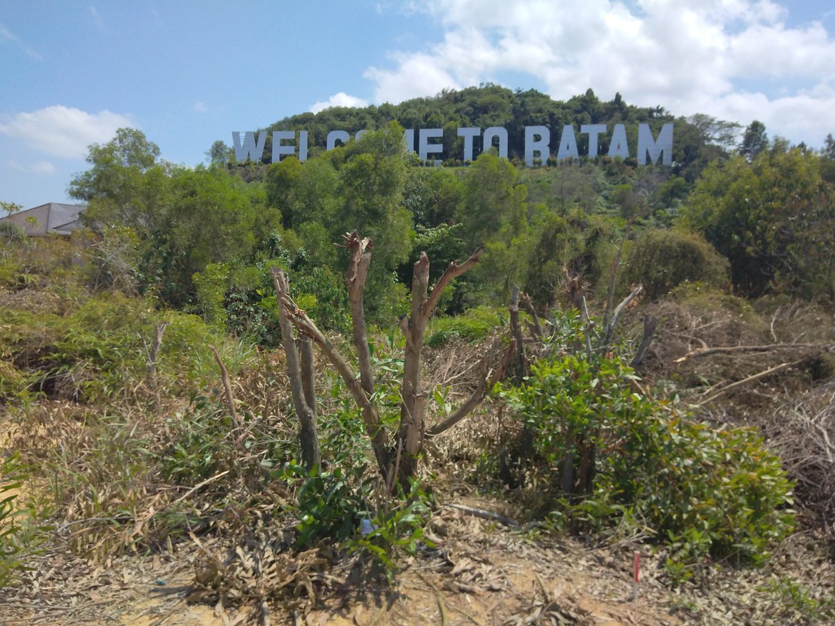 SimplyPaul's tweet photo. Today I got to N001 07.395, which is less than 124Km from the equator. I guess that's set myself a goal..?
#WelcomeToBatam
#PaulBigAdventure
#Batam #Indonesia https://t.co/QA8BBCGz6d
