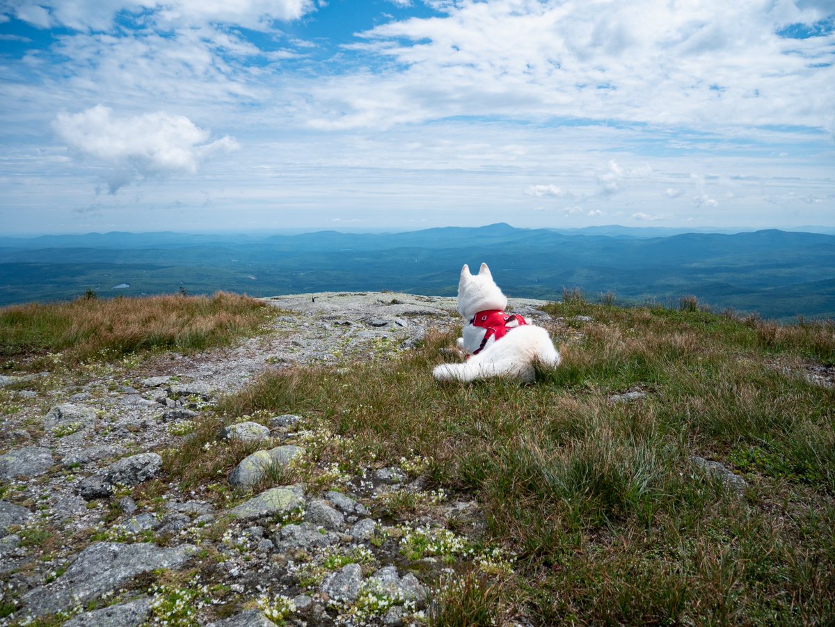 My Thru #Hike is approaching: Why am I scared? thetrek.co/appalachian-tr… #oregon nm #tropical