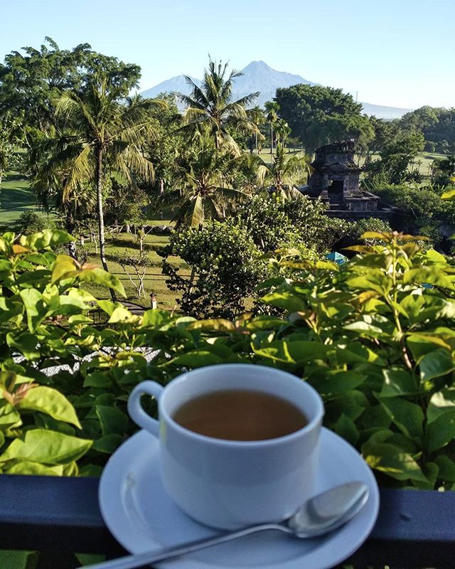 ImagineinW's tweet photo. They said: "what a life!"
Start a day with a cup of tea while enjoying majestic Merapi. 
A rare memorable moment .
.
.
#hymoments 
#travelphotos 
#travelgirl https://t.co/AgR2Rf3mvL