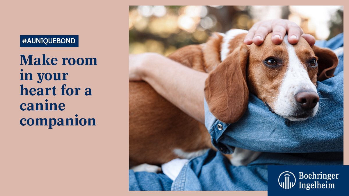 BoehringerMEA's tweet photo. As if you needed another excuse to get a #dog...studies have now proven that having a canine companion is great for your #cardiovascular #health! Visit this link to watch the unique bond between a Diabetes patient and his dog: https://t.co/mwHttMERwZ #AUniqueBond https://t.co/Ei5XRx6mqW