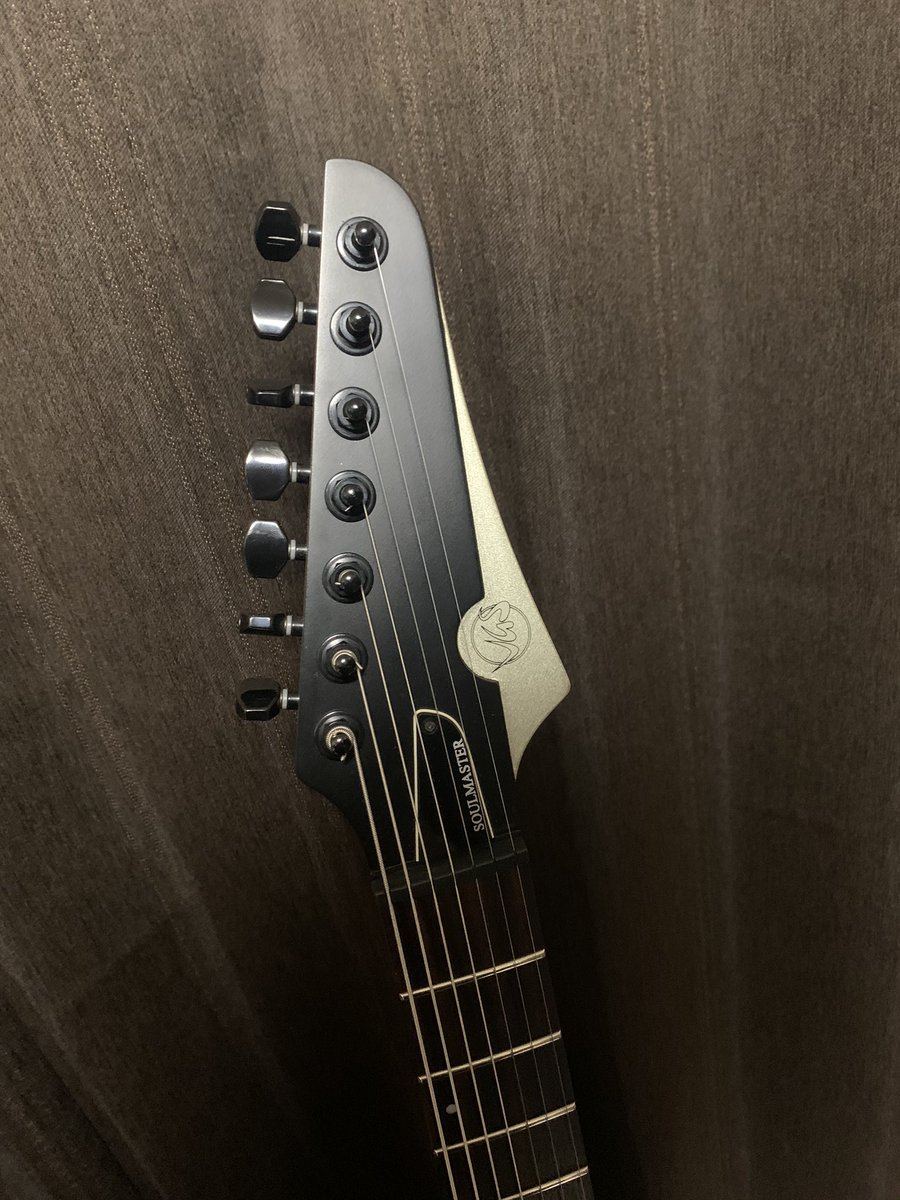 kaz_vguitar's tweet photo. 次回の2/9の代官山ライブでは僕はVorchaosとSIN ISOMERでギターを弾きます。
普段はDEAN使いですが、SIN ISOMERの楽曲は7弦ギターなのでこちらではVGSをセレクト。
#EVERTUNE 搭載なのでチューニングの安定感が抜群です。
久々テクニカル系なのでやり甲斐あるー! https://t.co/uehwAN3tmU