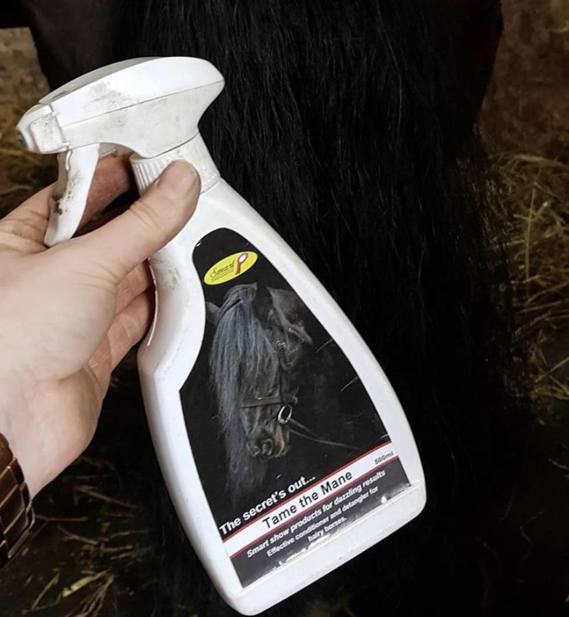 Smart_Grooming's tweet image. Fab before and after by @jennygequestrianservices who used our Tame the Mane to tame this bushy tail! "Love this product. So good for getting those knots out and giving and nice shine."

-

#smartgrooming #plaitingwax #perfectplaits #freelancegroom #showhorse #hack #equinegroom
