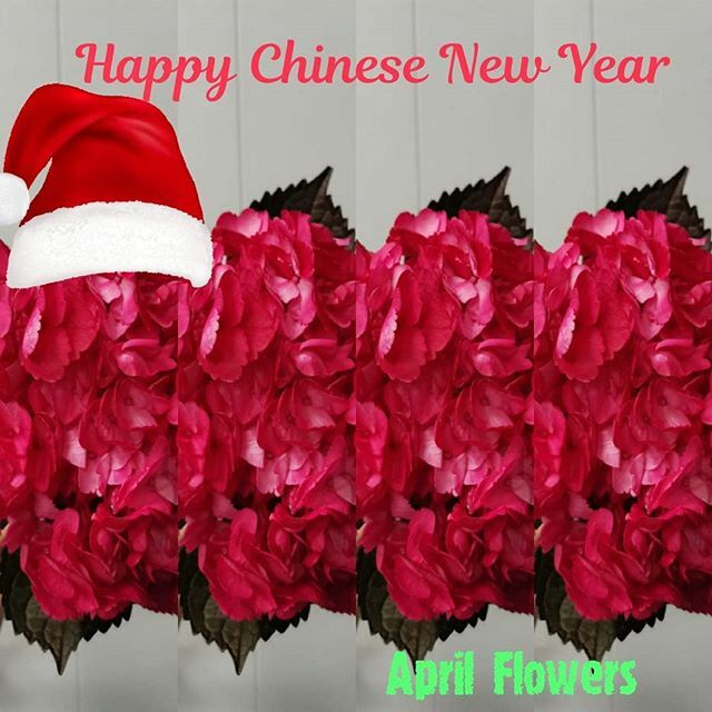 AprilFlowersltd's tweet photo. Поздравляем всех наших клиентов с Китайским Новым Годом ⛄.🔥春节快乐🔥#AprilFlowers #цветыоптом #AprilFlowersLtd #aprilflowersisrael.  #春节快乐 https://t.co/Lab79iw4V7