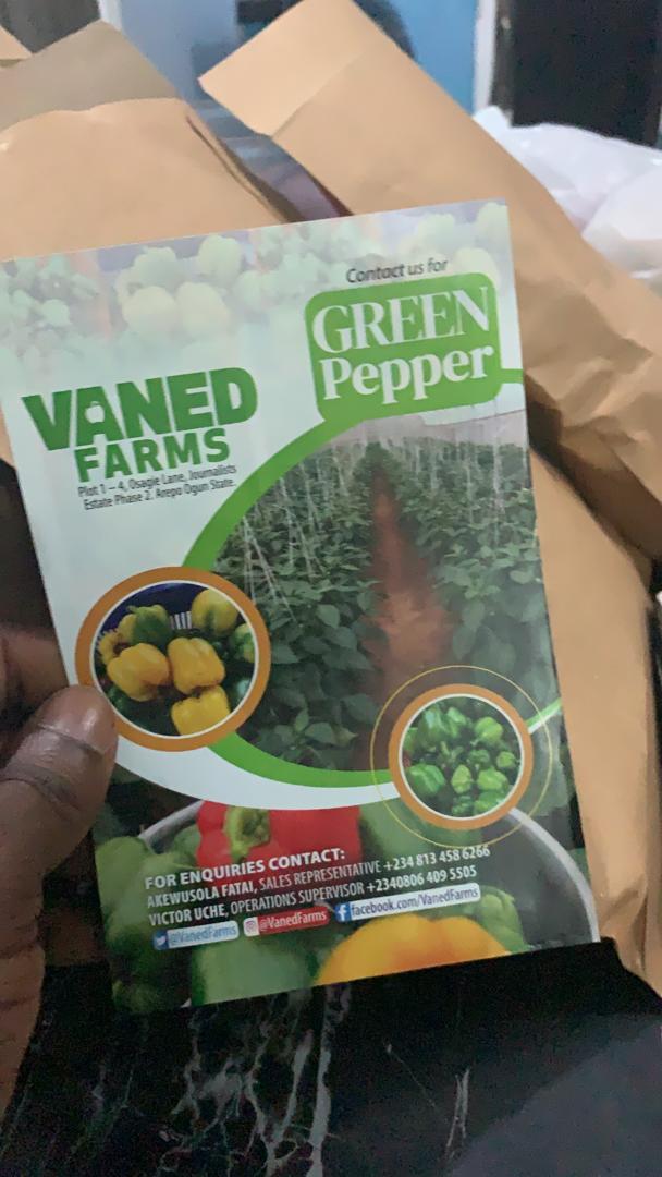 FarmsVaned's tweet photo. Green Pepper fresh from farm 
For Order/Enquiries 08122957529 WhatsApp 08134586266 #GRAMMYLive #Burna https://t.co/ZWToBTR4vO