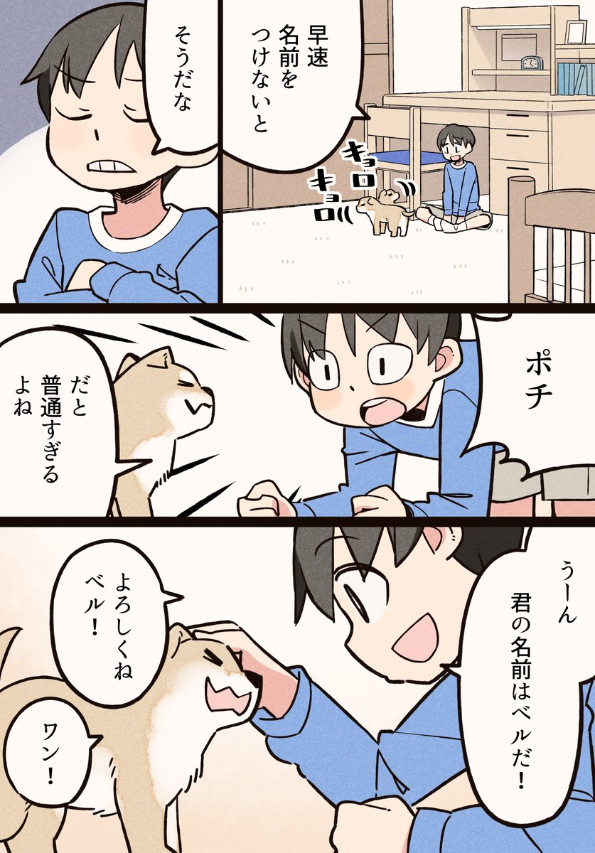 犬を飼ってわかったこと② 