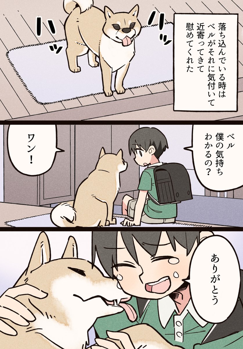 犬を飼ってわかったこと③ 