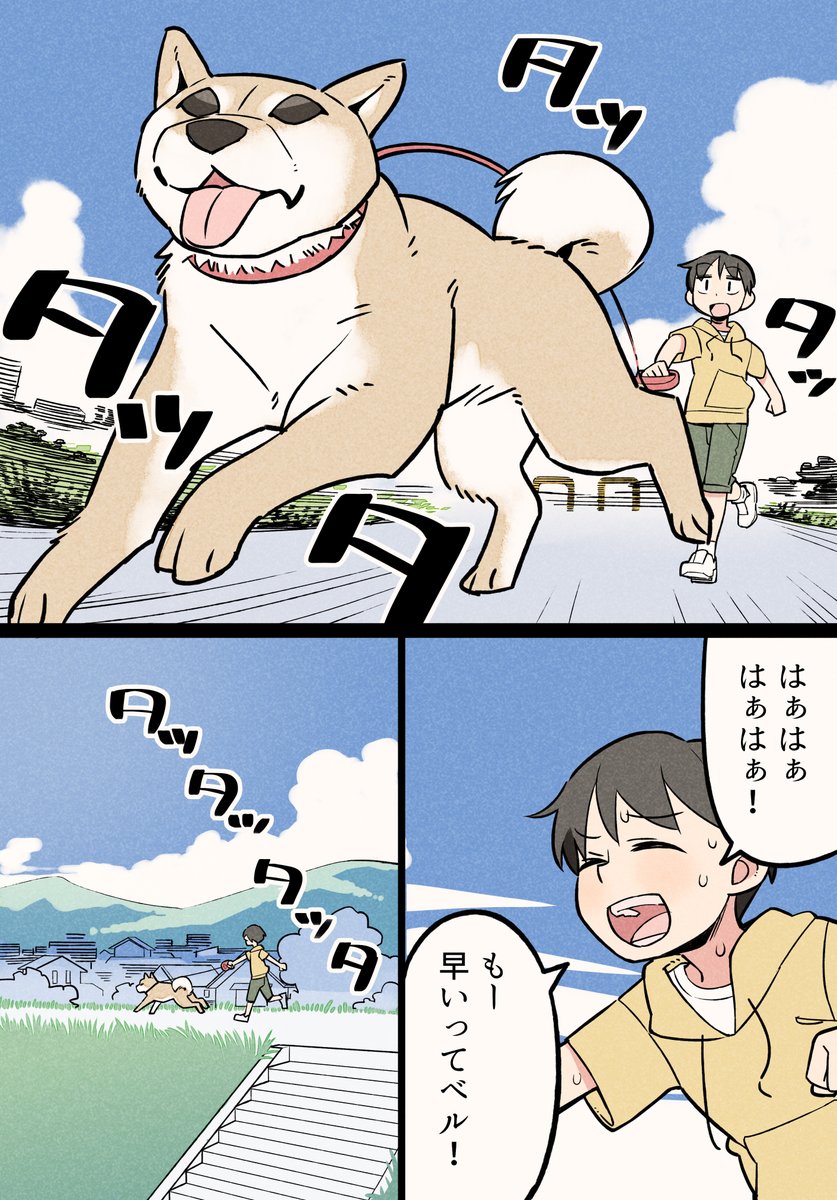 犬を飼ってわかったこと④ 