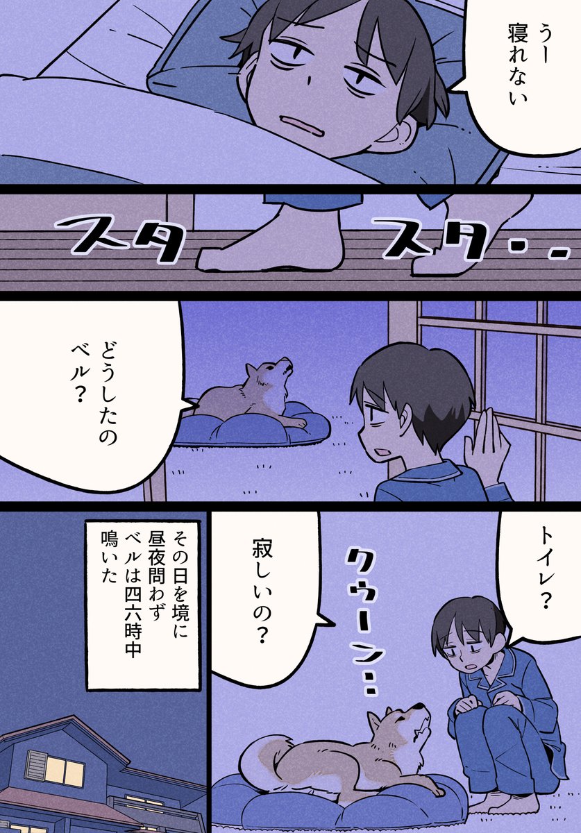 犬を飼ってわかったこと⑤ 