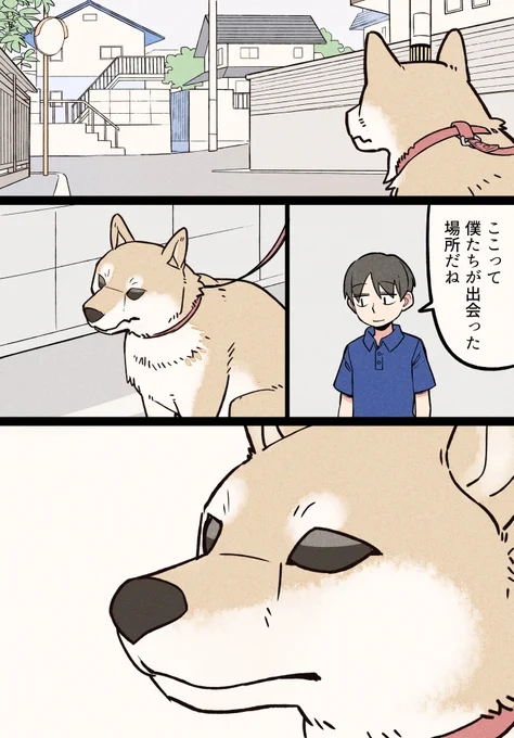 犬を飼ってわかったこと⑦ 