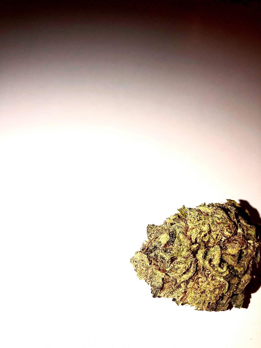 Lady Smokes A Lot tweet media