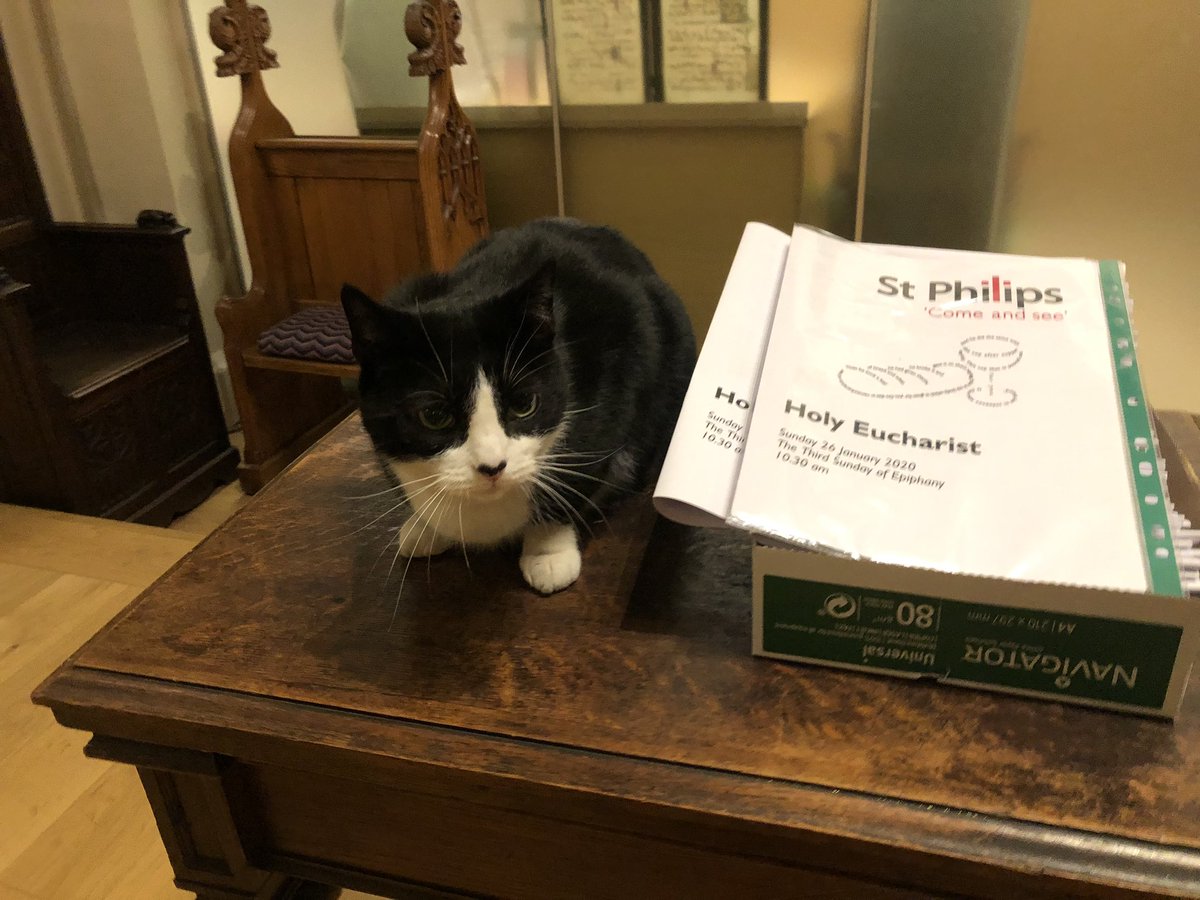 Black and white cat sitting on a table next to a box of service booklets