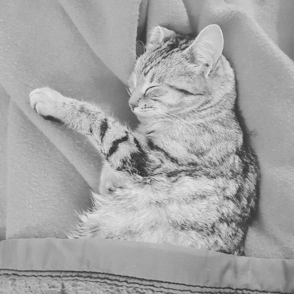 CBadaroux's tweet image. #dimanche #learnFromTheMasters