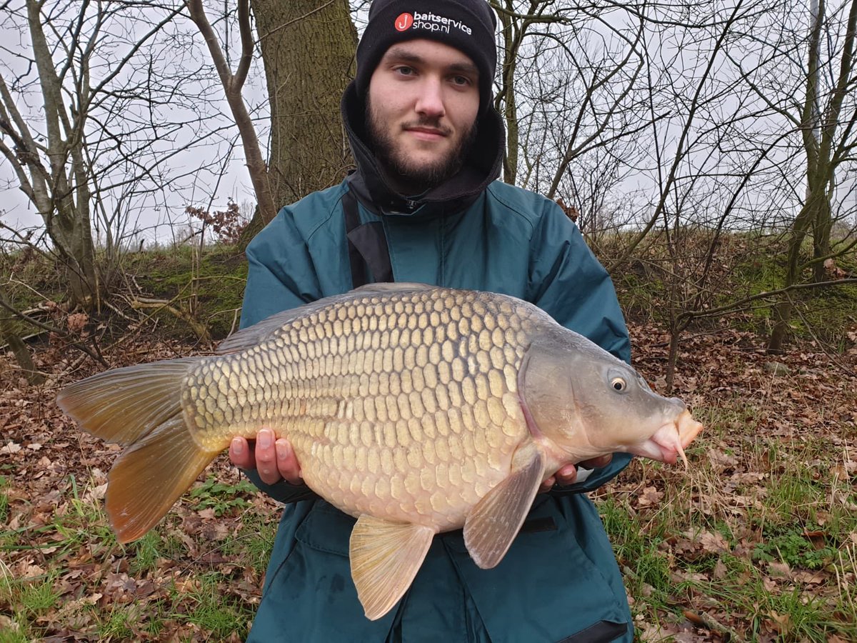 baitserviceshop's tweet photo. ** Vangst berichten **
Kevin Schepers en Marco Willem Schepers vissen lekker door in de winter.Op aanvraag van hun hebben wij mini boilies, pistache en banaan voor hun gedraaid en met succes. 
Lekker bezig jongens Top
#baitserviceshop #wintervissen
https://t.co/MuWiFDJTxW https://t.co/B4JAliOoAb