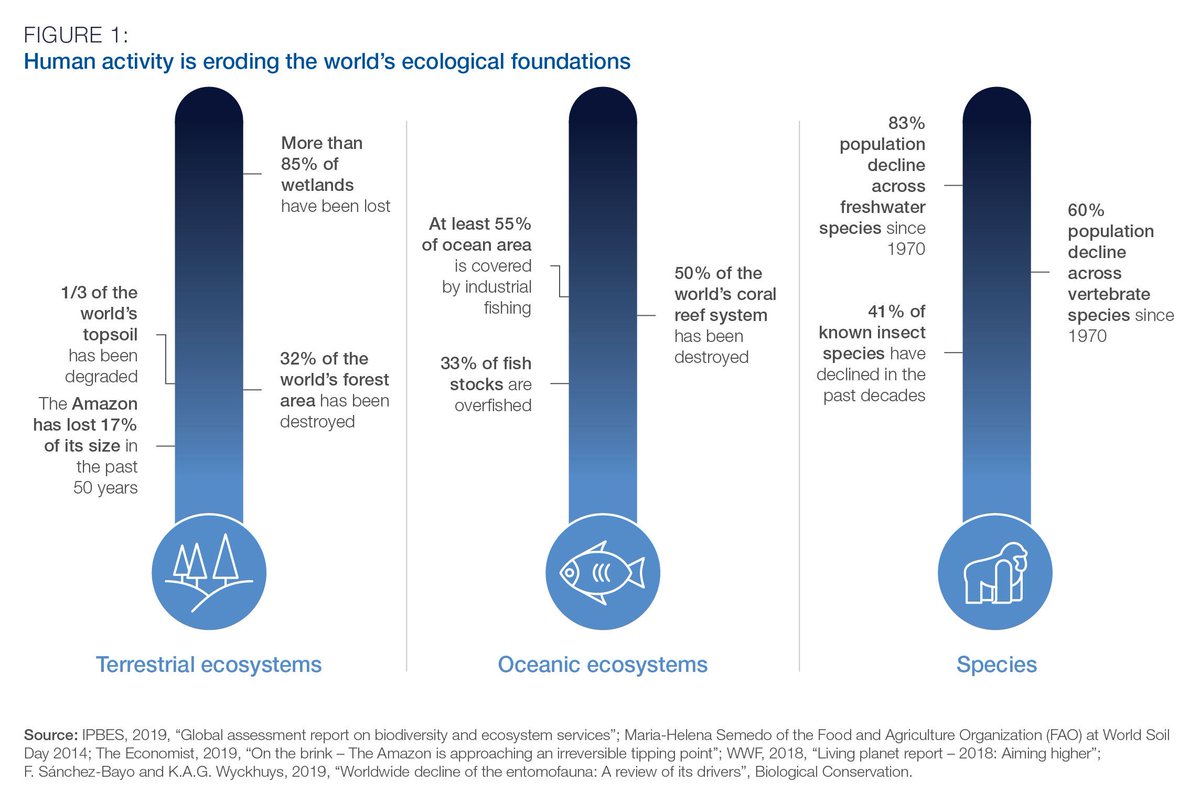 wef's tweet image. We have to stop destroying nature - and 2020 should be the year we act wef.ch/2RCSKLv #WEF20