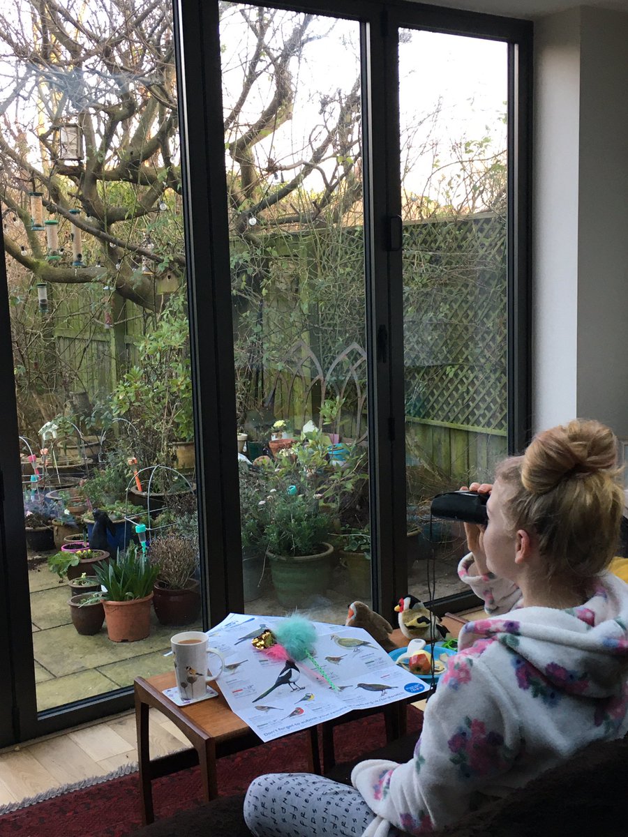 Katiebluesea's tweet photo. Ellie and I are all set for the #BigGardenBirdWatch ❤️@RSPBEngland https://t.co/boqRZsHFne