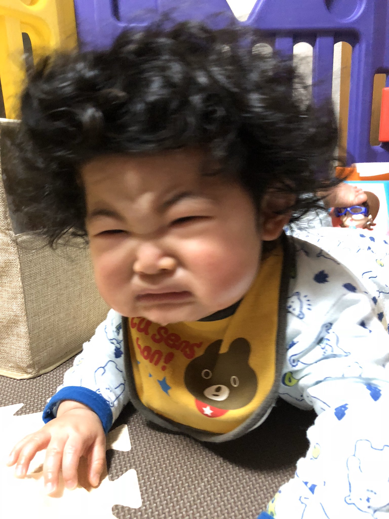 猫蜜柑 中度uc持ち 4歳 2歳 元同居嫁シングル 髪の毛があっという間にモッサモサに これで生後8ヶ月 よ さすがにモサモサ過ぎるから初カットは9ヶ月の時にしました 育児衝撃画像 T Co Ga3n3mt8f7 Twitter