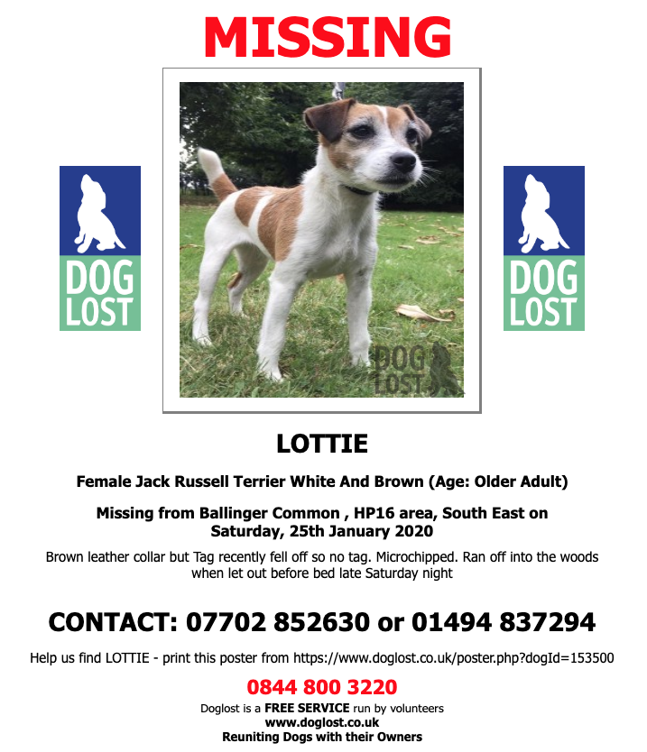 DogLostUK's tweet image. DogLost.co.uk  
LOTTIE  #LOST  #DOG
Female #JackRussellTerrier 
#BallingerCommon #HP16 Saturday, 25th January 2020
#ScanMe  #lostdog 
 doglost.co.uk/dog-blog.php?d…  @VetsGetScanning @SAMPAuk_