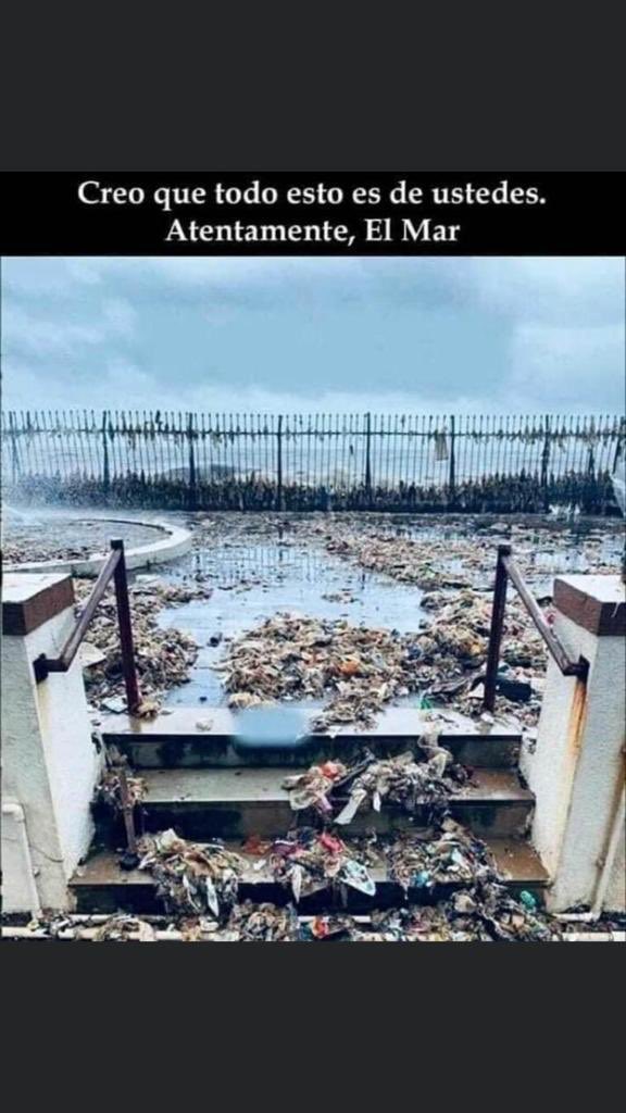 poblado_verde's tweet photo. Creo que todo esto es de ustedes. Atentamente, El Mar👇
🌊🌊🌊🌊🌊🌊🌊🌊🌊🌊🌊🌊
#oceanos #contaminación #plasticos https://t.co/5g3n5Vi96a