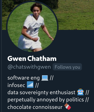 A profile picture that asserts that they user is a software engineer and makes no reference to Google