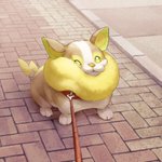 新ポケモンのワンパチの拒否犬ぶりが柴犬にそっくり