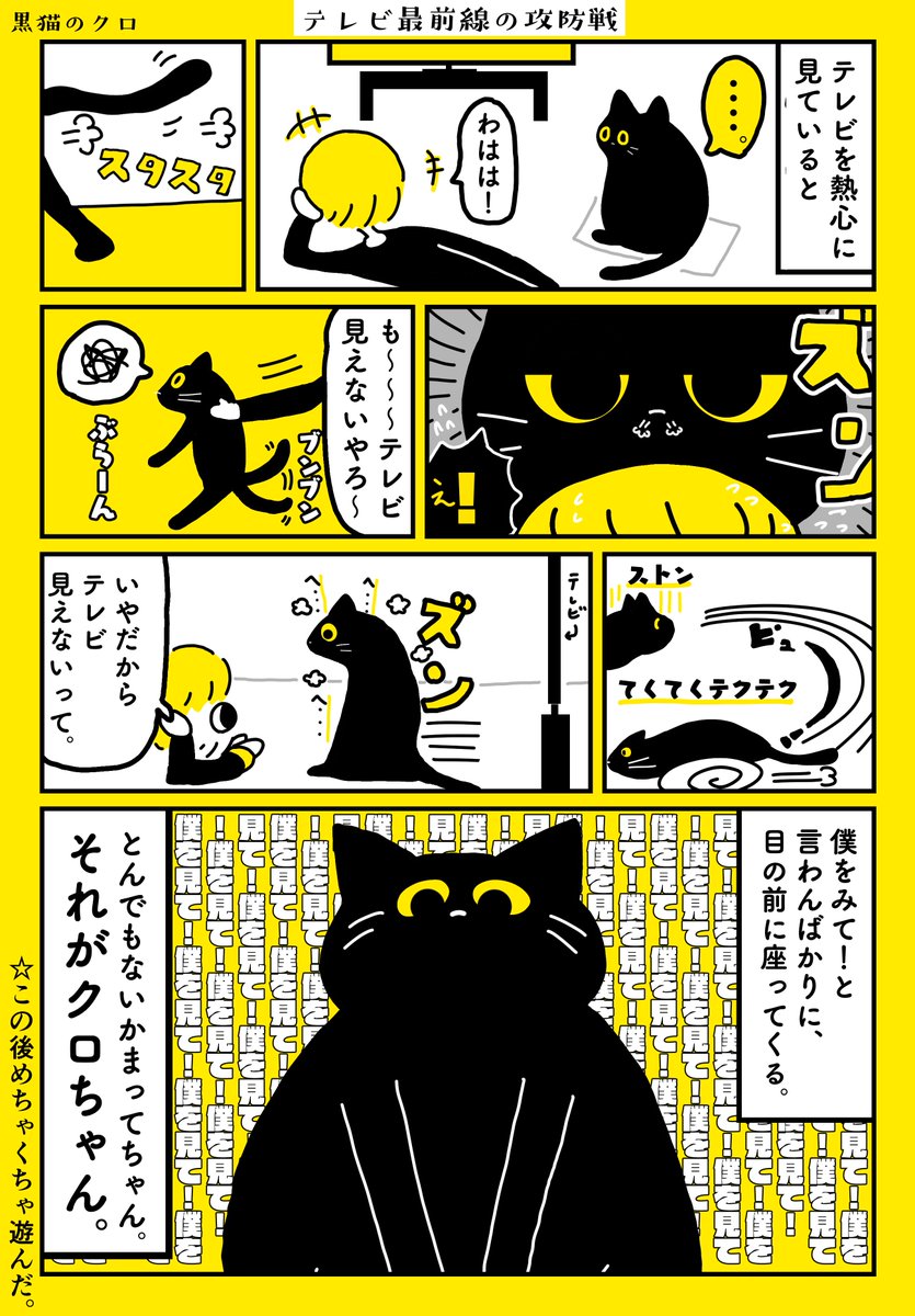 テレビ大好きなクロ猫 