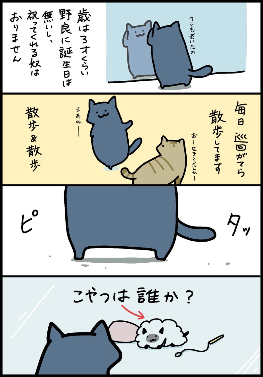 飼い猫と野良猫のちょっとした話
『カイとノラ』 