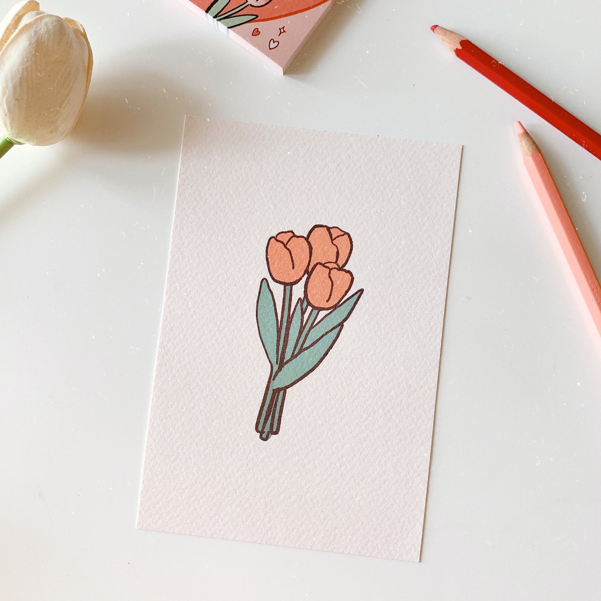 Sibbil_'s tweet photo. รีสต๊อกโปสการ์ดทิวลิป 🌷 https://t.co/ZojaBhMY1f