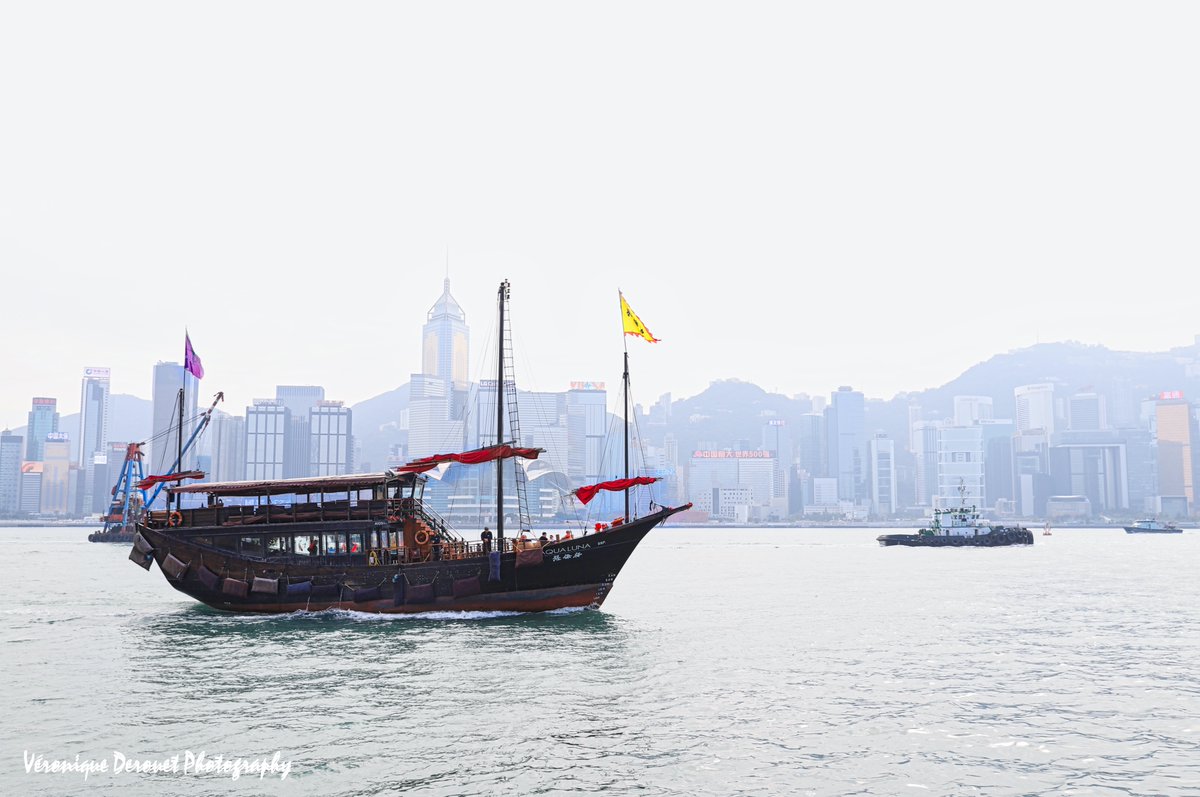 vederouet's tweet photo. 🇭🇰 Boat in the mist
Hong Kong (Avenue of Stars)
Tsim Sha Tsui Promenade
©Véronique Derouet December, 2019
#boat #tsimshatsui #avenueofstars #hongkong #asia #china #city #cityscape #travel #fareast #extremeorient
@ThePhotoHour https://t.co/i9cbU9jFA6