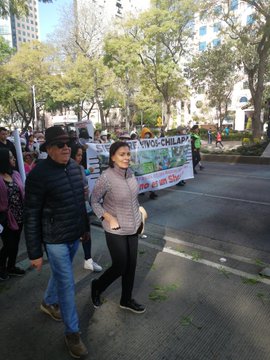 Ver imagen en Twitter