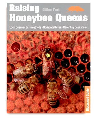 nthnbeebooks's tweet photo. ‘Raising Honeybee Queens' ~ By Gilles Fert
This illustrated guide makes self-sufficient beekeeping accessible to all - Learn from a professional queen breeder with over 30 years experience. #queenbreeding
View Contents https://t.co/98fT2Gj14q
Click to Buy https://t.co/lGEl5BwbOr https://t.co/xuxPfqm7n4