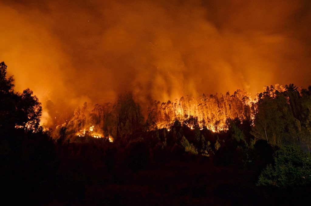 arcearquitecto's tweet photo. #IncendiosForestales anoche sector manantiales, controlado por @conaf_minagri , @BomberosdeChile y vecinos. Hoy sin novedad. https://t.co/36lfGQcaN3