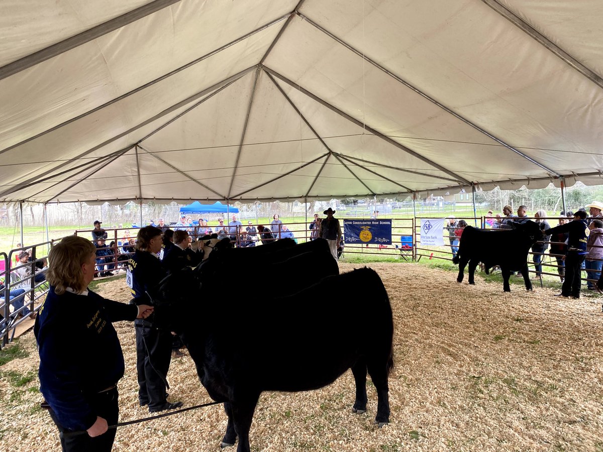 Lamar Cons FFA tweet media