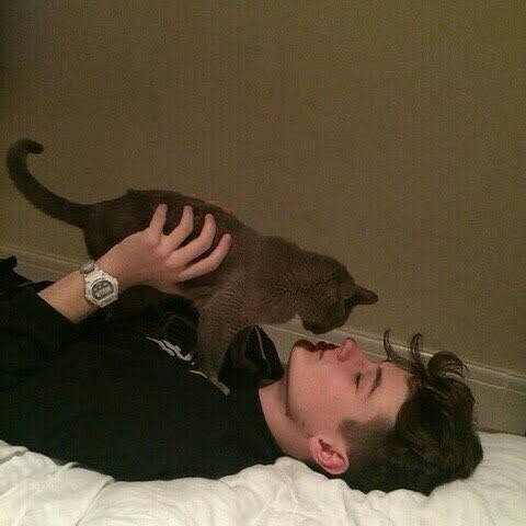 Hansome_guys_'s tweet photo. 고양이 댕댕이와 미남의 조합은 최고

Pet &amp; Boy https://t.co/pKQNgXKFCO