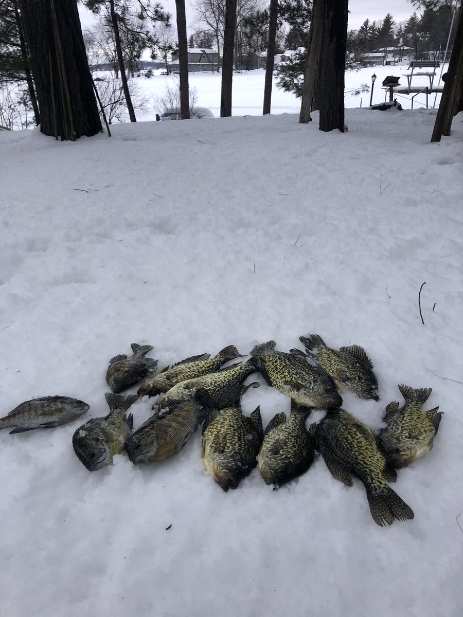 DSITTIG's tweet photo. It was a good day chasing dinner for the @IgnitionFishing guys!   #KwikTrip #MtnDew https://t.co/UcnNL08WQH