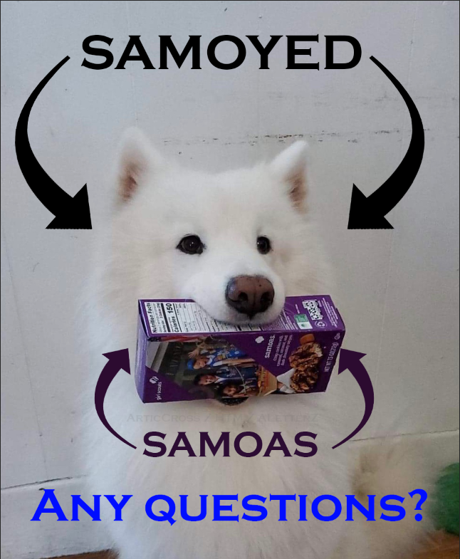 thezolon's tweet image. FISH, my wife's service dog, helping clear some things up.