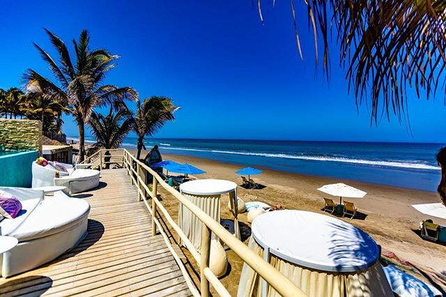 hoteldco's tweet photo. Asi nos recibe el día hoy!
.
.
#hoteldco #beachlibrary  #spa #beachview #coupletravel #vacation #beachlife #vivamancora #vacaciones #playa #dcoexperience #beachdestination #luxurydestination https://t.co/5M8s4akPMJ https://t.co/uFf42Bcycs