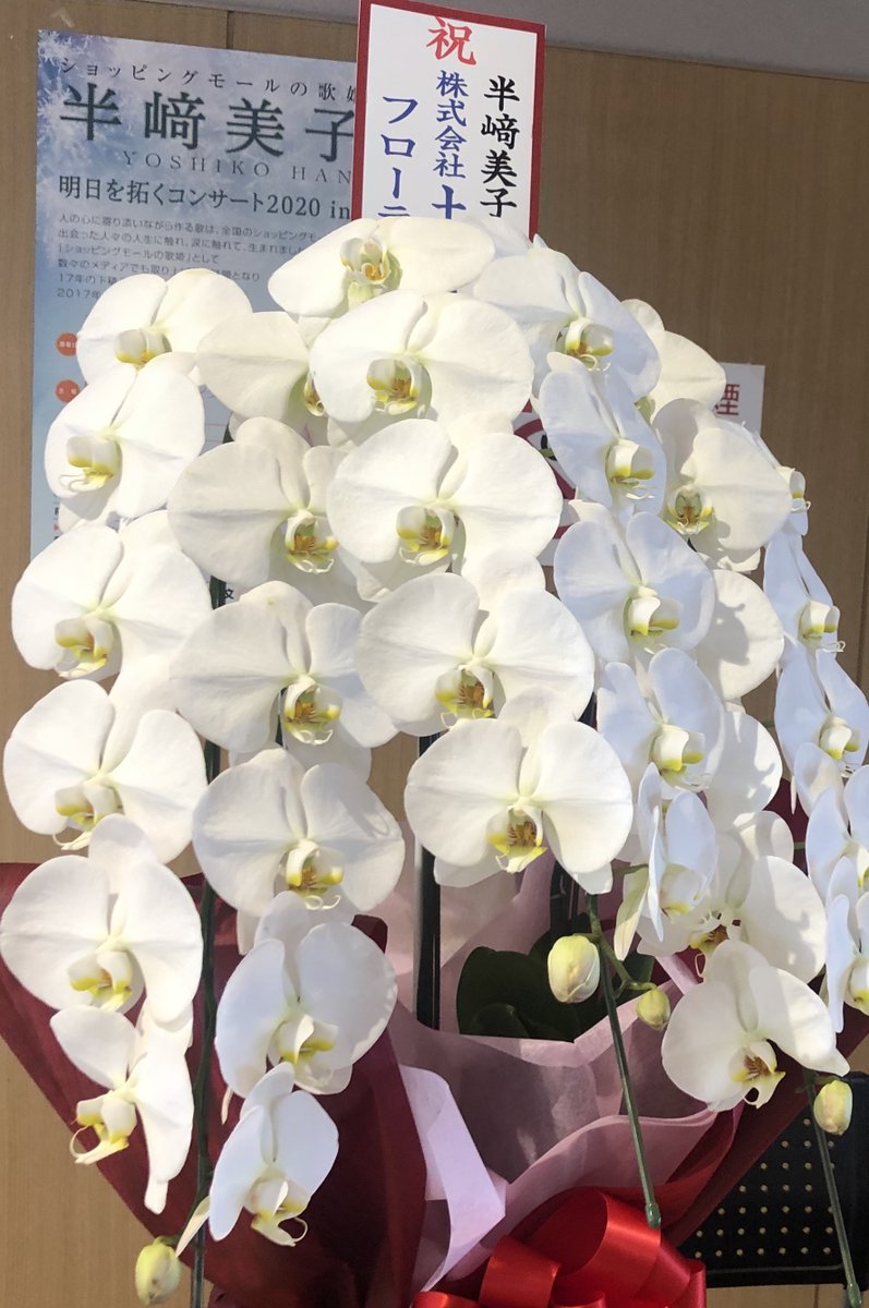 半崎 美子 ツイッター