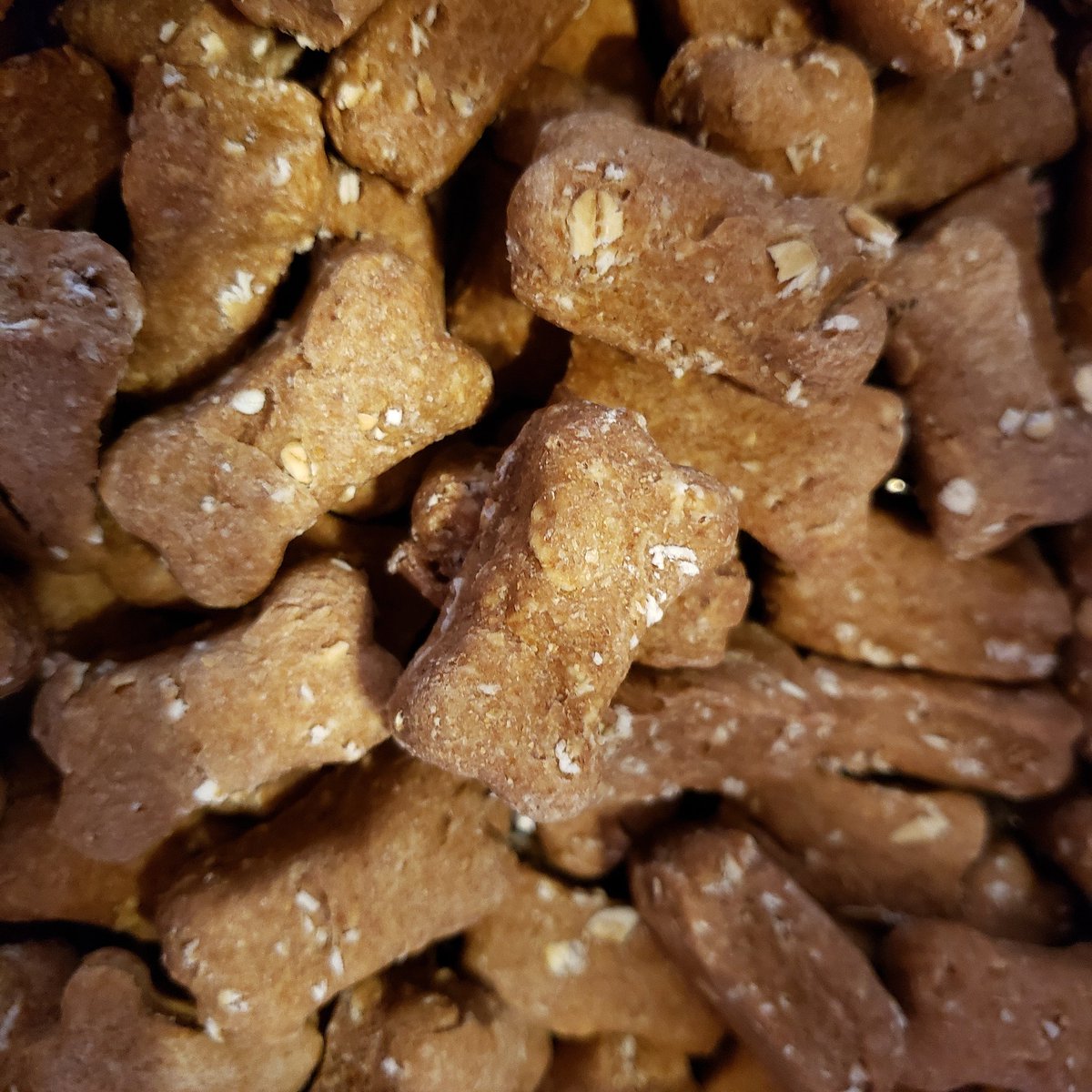 Mindy Abbruzzese tweet media